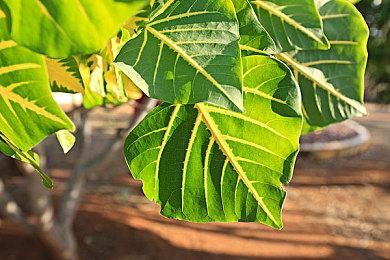 魔幻射击《地狱清理者VR》多人合作实机预告 9月22日发售