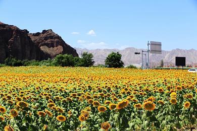 《哥谭骑士》PSN页面确认支持4人联机